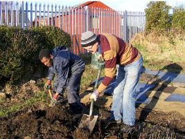 Allotment